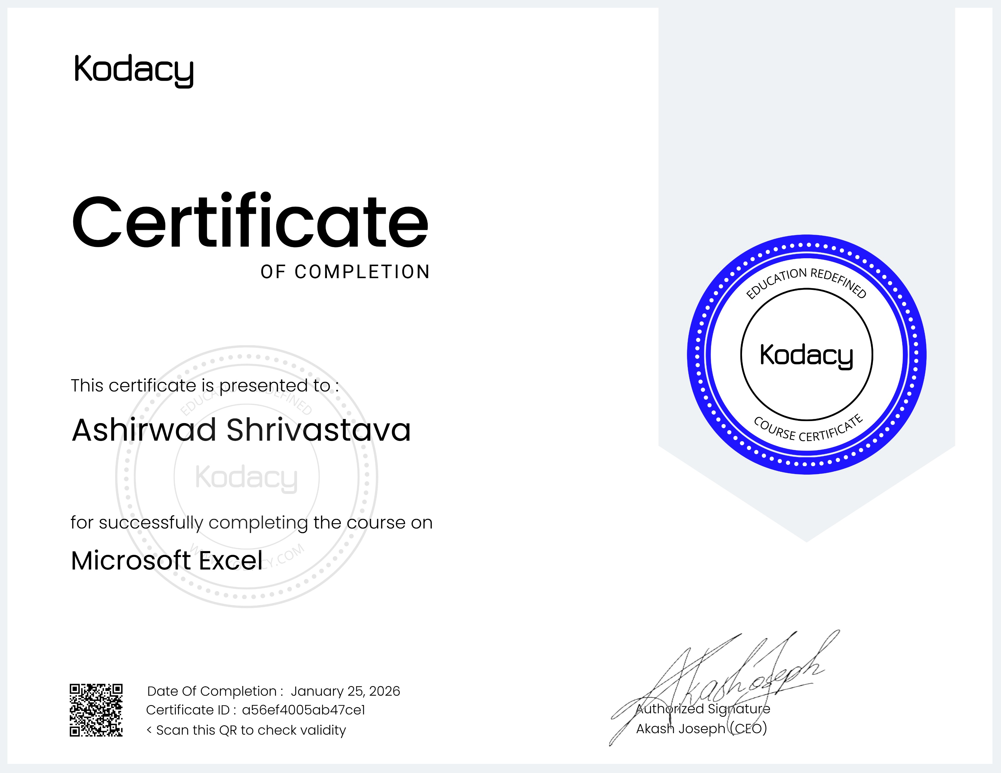 Microsoft Excel